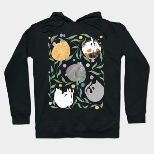 Cat Nap Hoodie